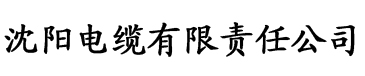 菠萝视频APP污电缆厂logo